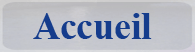 bouton accueil